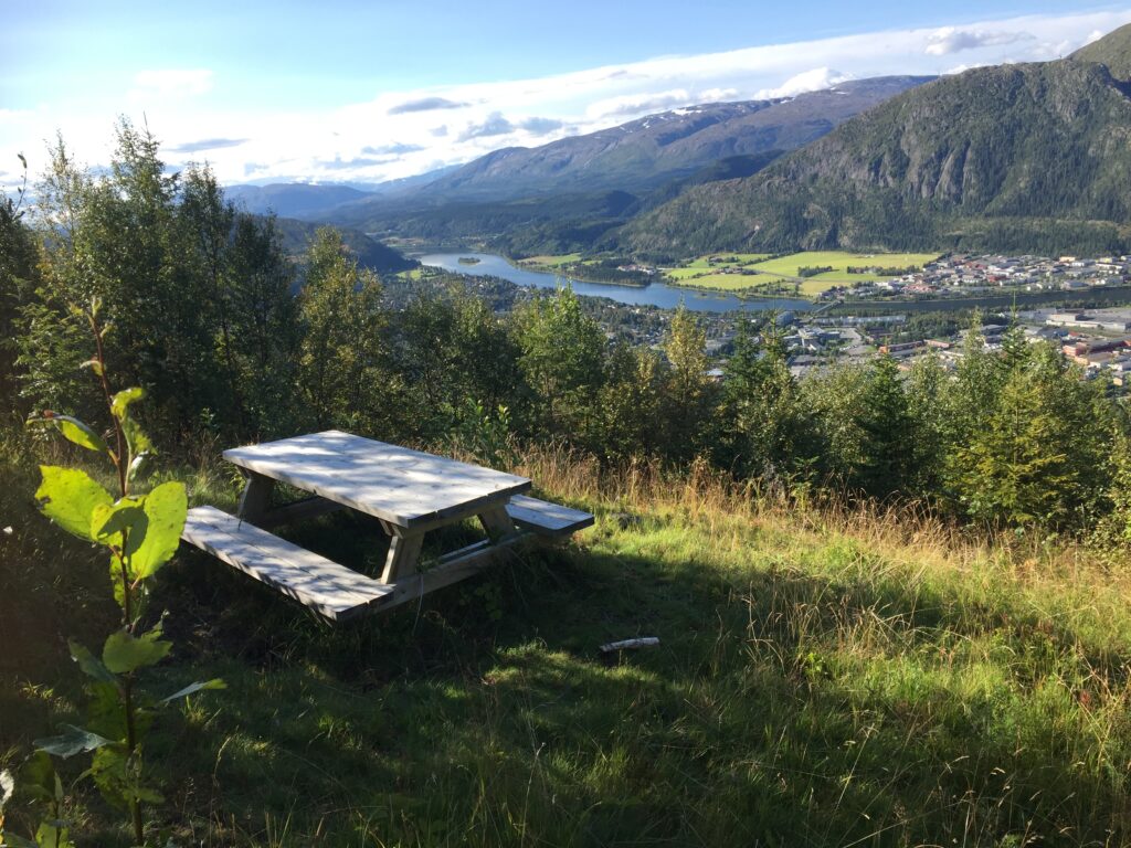 Bilde fra aktiviteten